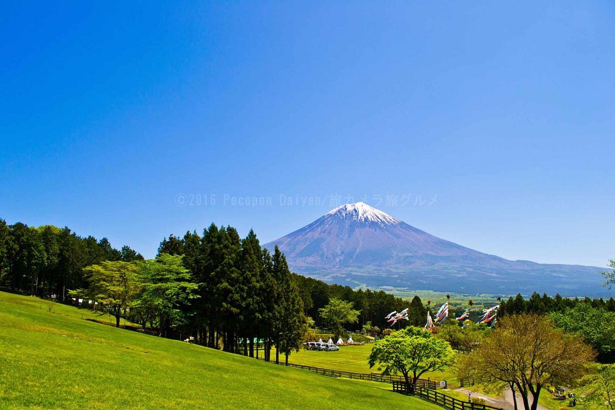 🏞️ 마카이노 목장(마카이노보쿠조) 이미지 7